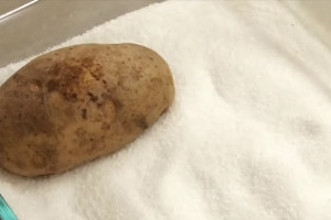 186