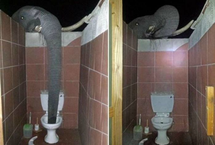 Жажда замучила!