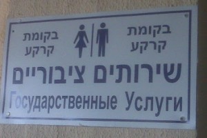 5006905-R3L8T8D-650-toilet2