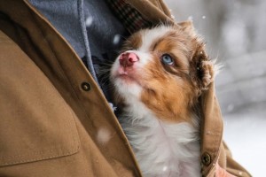 10 «подслушанных» историй о настоящих человеческих поступках