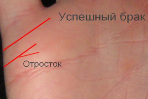 Изучаем свою линию брака на руке