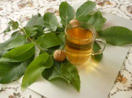 В борьбе с болезнями вам помогут листья грецкого ореха!