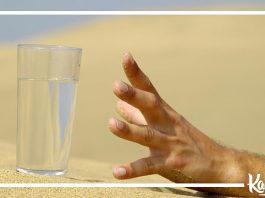 12 признаков того, что ваш организм мучает жажда