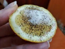 Соль, перец и лимон помогут решить эти 9 проблем
