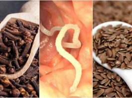 Как избавиться от паразитов в теле при помощи гвоздики и льняного семени